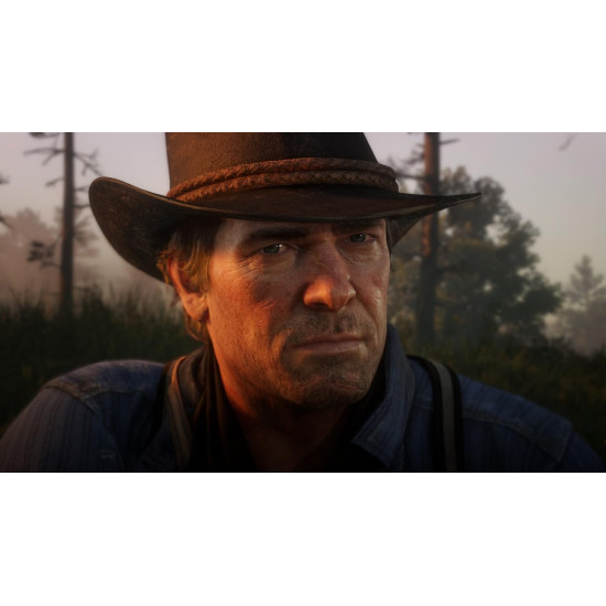 Red Dead Redemption 2 - PS4 - Secondary