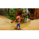 Crash Bandicoot N. Sane Trilogy